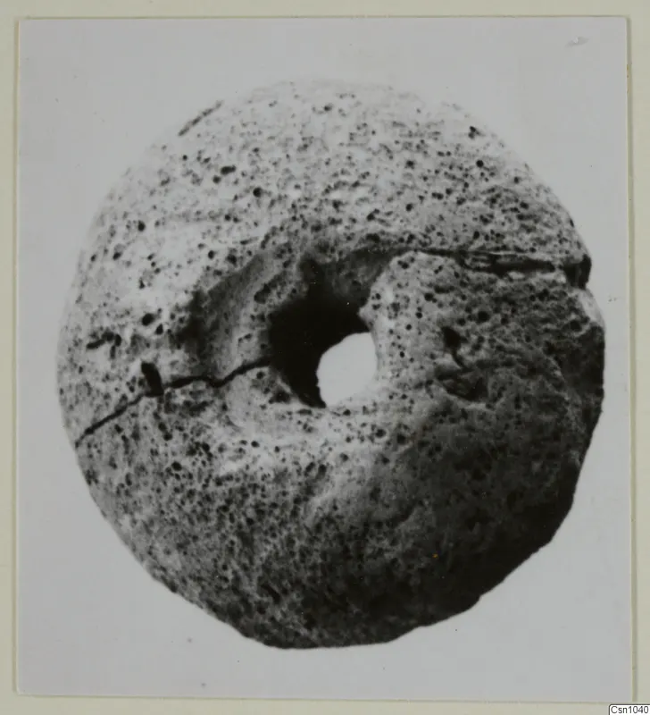 Perforated disc-shaped object with a pitted, porous surface and a large central hole