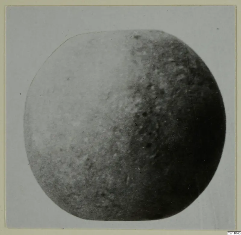 Rounded small find with a mottled surface, photographed on a card mount, from the Vrysi tou Barba tombs at Lapithos