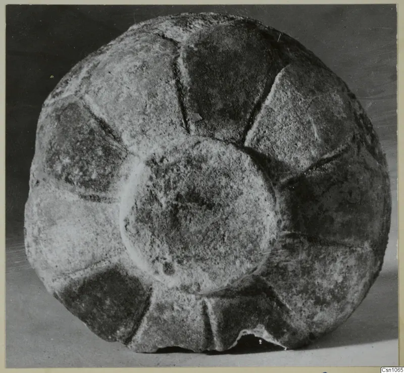 Bowl with radial segments and a raised central boss, photographed from above against a dark background
