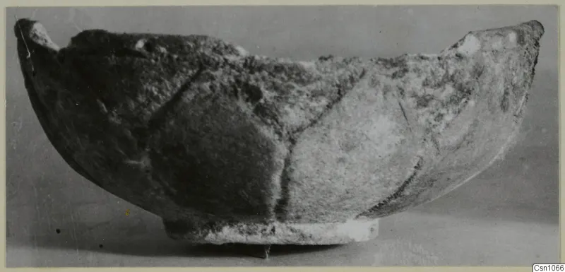 Shallow bowl on a low ring foot, rough surface with dark lines dividing its outer wall into panels, from Enkomi