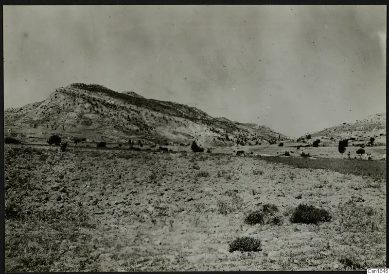 Rocky hill with scattered trees above open scrubby ground at Ayios Iakovos, with small distant figures
