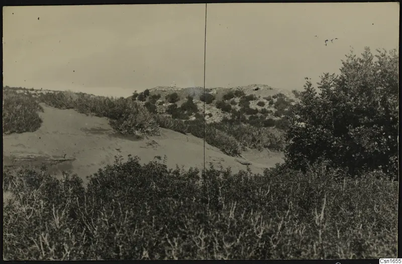 Rocky hill and sandy slope covered with scrub at Nitovikla, Karpas Peninsula