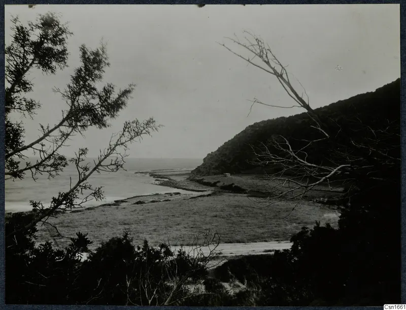 Coastal view at Paradisotissa Loures with open sea, a wooded hill on the right and trees framing the foreground
