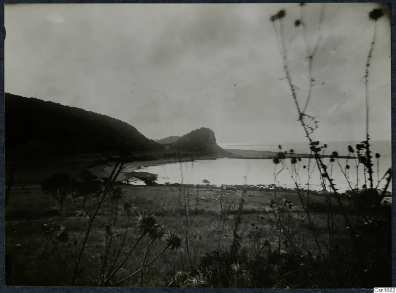 Wooded hill and rocky headland above a bay, with thistle-like plants in the foreground at Vouni