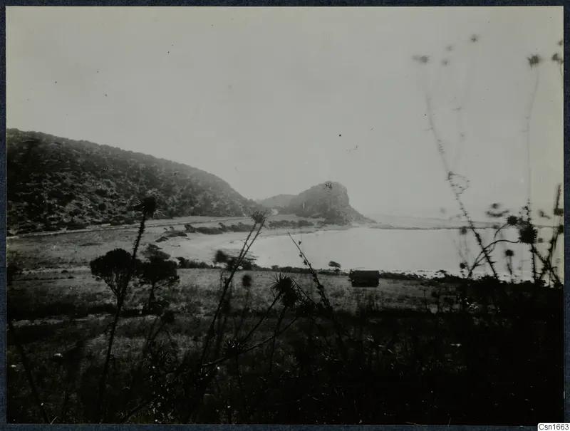 Wooded hills and a bay of water with dry grass and thistle plants in the foreground, at Vouni