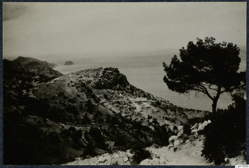 Rocky hills at Vouni falling toward the sea, with a pine tree on the right and a small islet offshore