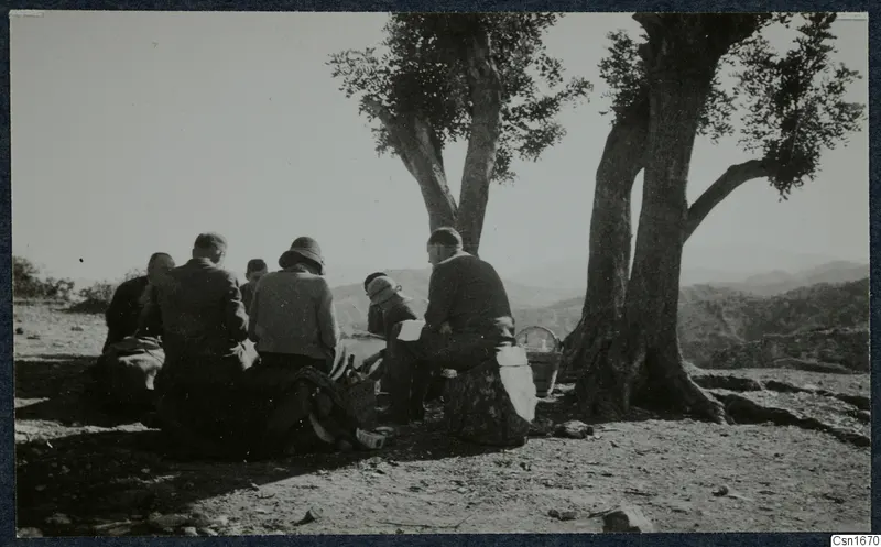 Several people sitting outdoors in a loose circle beside gnarled trees on a rocky hilltop at Vouni