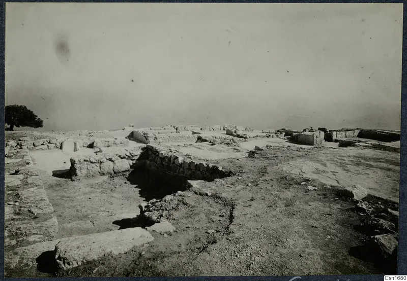 Excavated ruins at the palace at Vouni, with low stone walls and a tree at the left edge.