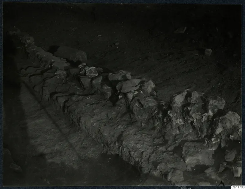 Excavated line of rough stones at Cholades, Soli, running diagonally across bare earth