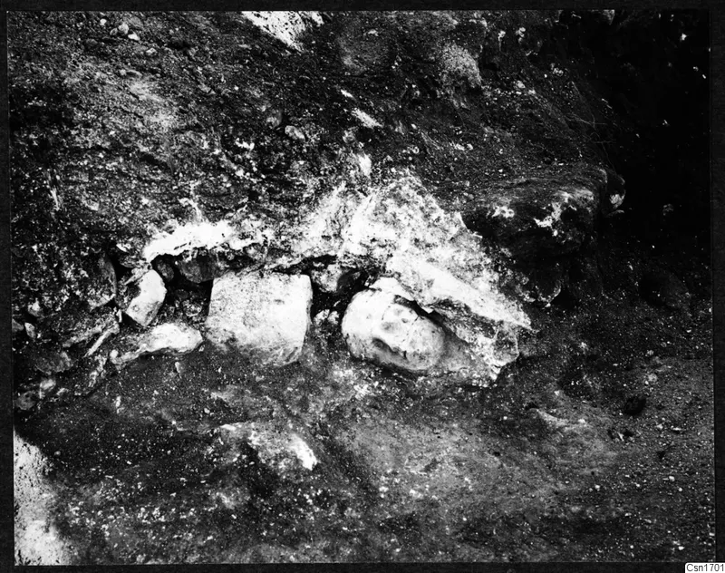 Finds in situ at Cholades, Soli: pale objects lying in excavated soil