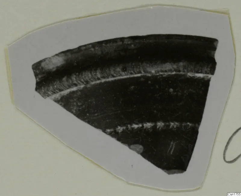 Pottery sherd with a dark glossy surface and pale ridged bands, mounted on a pale card