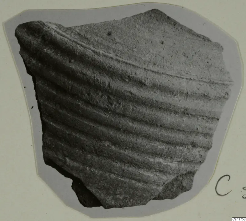 Pottery sherd with deep horizontal ridged grooves on its outer surface, mounted on a grey card.