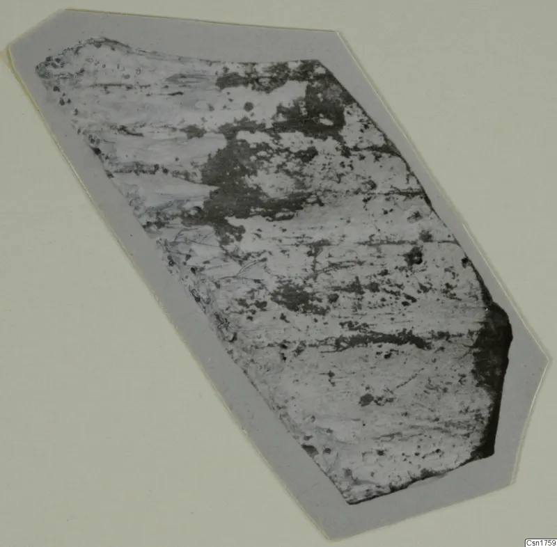 Single pottery sherd, photographed on a grey card mount