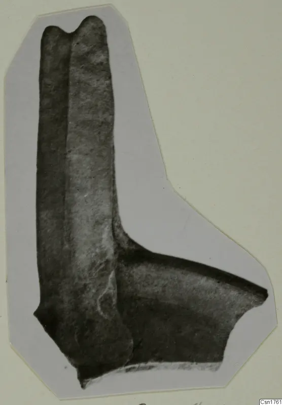 Pottery sherd from the Roman Wares I-III group, photographed on an irregular grey card mount