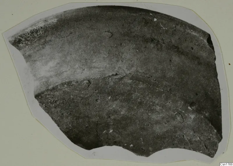 Curved pottery sherd with a broken edge, photographed on a pale card mount