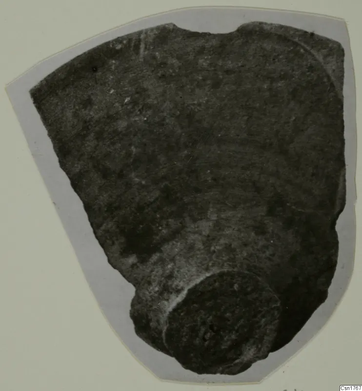 Roman Wares I-III: a pottery sherd with a rounded foot, mounted on grey card.