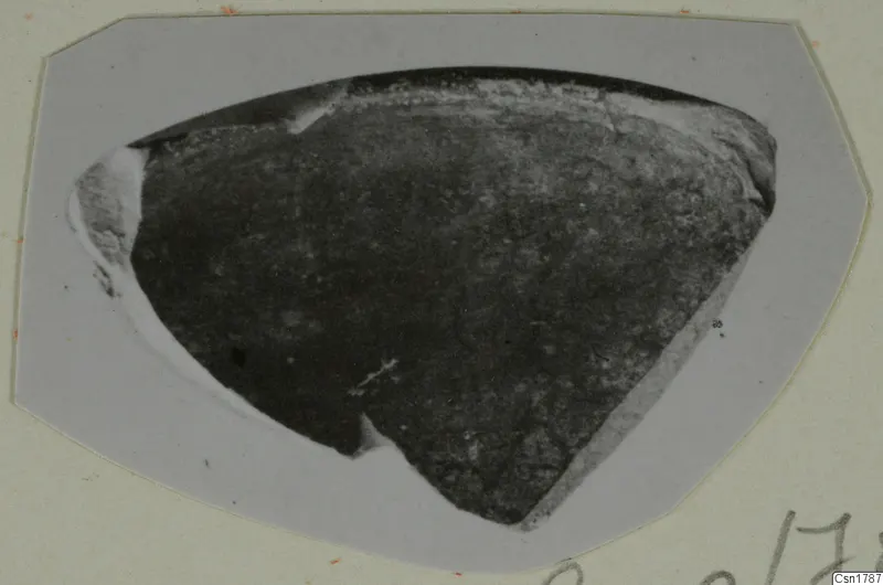 Sherd labelled Cypro-Hell. II, photographed on a grey card mount