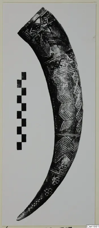 Curved horn-shaped object with incised chevron and lozenge bands, shown beside a scale bar