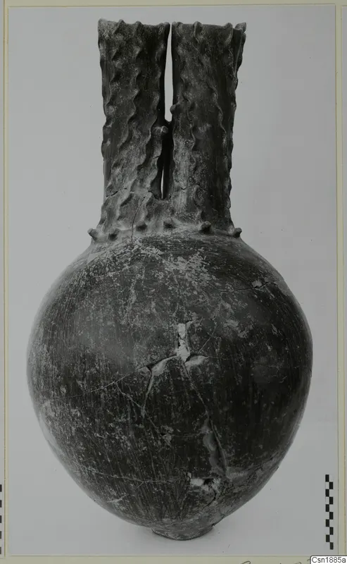 Dark globular vessel with a double-channelled neck and wavy ridges, photographed against a grey backdrop