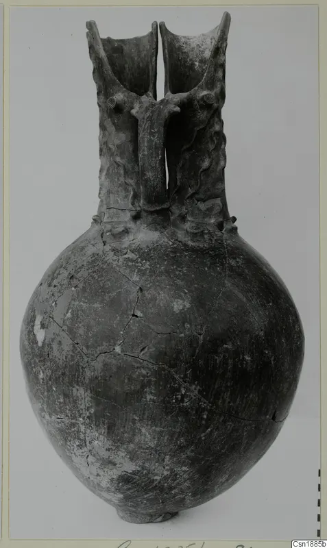 Globular vessel with a tall neck, two flaring openings and a bridge handle, dark worn surface, photographed on a plain background.