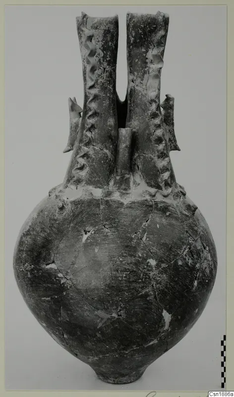 Pottery vessel with a globular body and two tall twin necks with notched applied relief, Red Polished I
