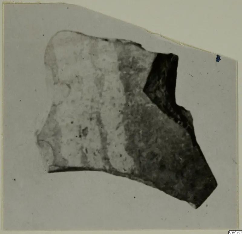 Pottery sherd with pale and dark areas, shown on a grey card mount