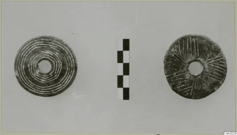 Two flat disc-shaped objects with central holes, one with concentric lines and one with radiating lines, beside a scale bar