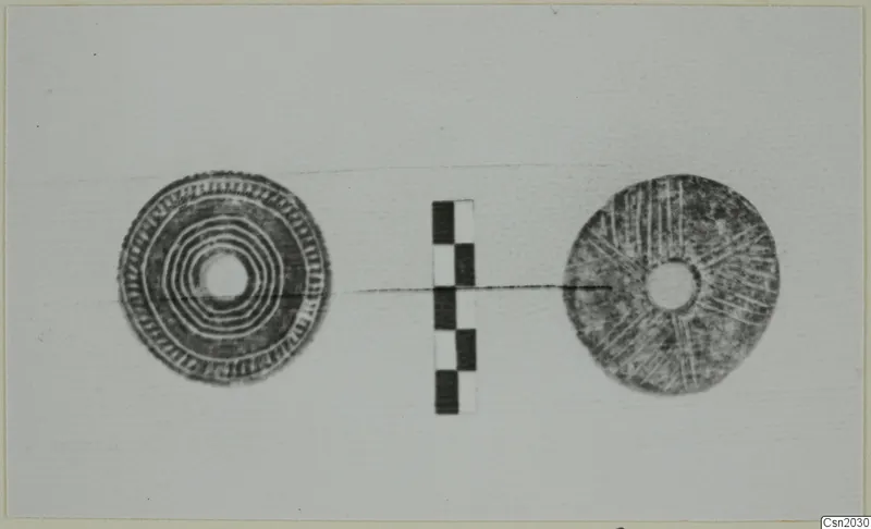 Two flat disc-shaped objects with central holes, one with concentric rings, beside a chequered scale bar.