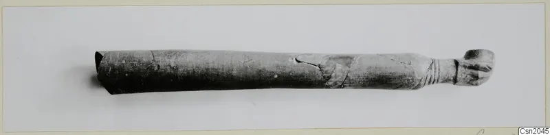 Elongated tubular object with a knobbed end, lying horizontally on a pale background