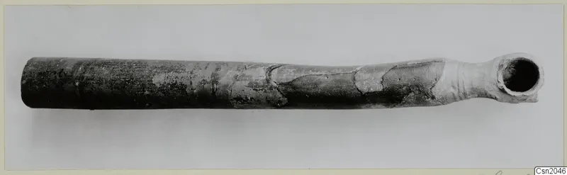 Long dark tubular object with a flared open end, photographed horizontally on a pale grey background.