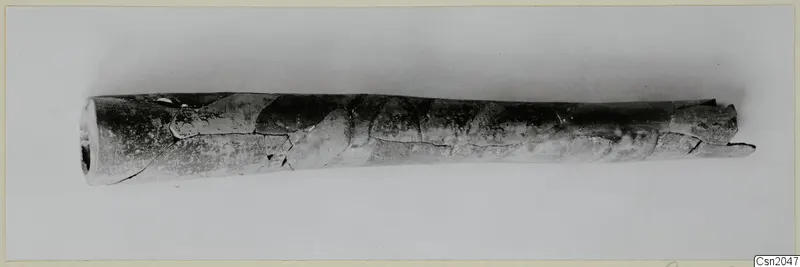 Long tapering tubular object with an open hollow end, lying horizontally