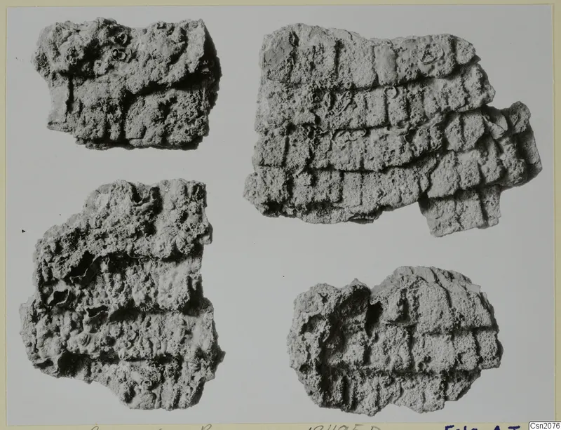 Four encrusted, corroded iron fragments with a grid-like pattern of raised ridges, shown on a light card.