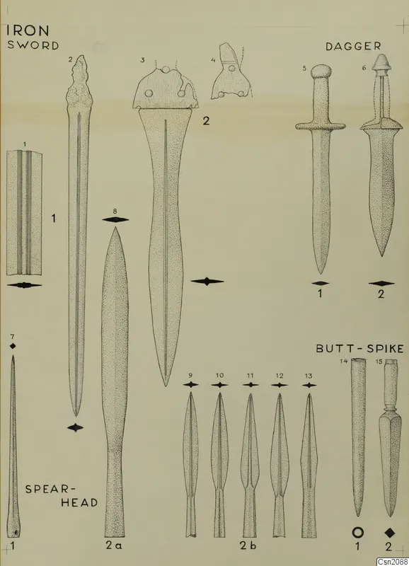 Drawing of iron weapons: swords, daggers, spearheads and butt-spikes, each numbered and set out in rows.