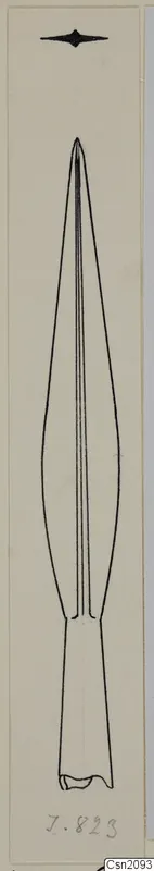 Drawing of an iron weapon with a long leaf-shaped blade and a narrow shank