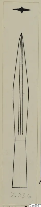 Drawing of an iron weapon with a long, pointed blade and a short rectangular tang at the base