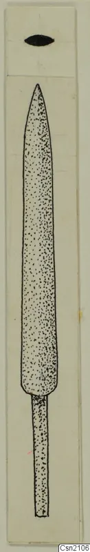 Drawing of an iron weapon with a long pointed blade and narrow tang, stippled shading on a pale card.