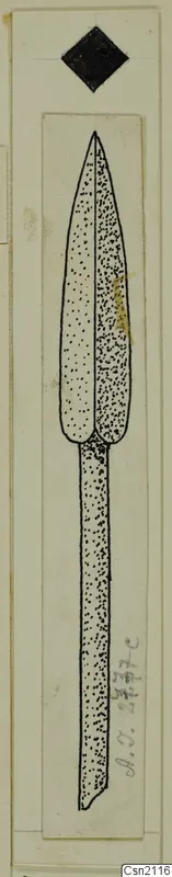 Ink drawing of an iron spearhead with a long tang, from Ayia Irini