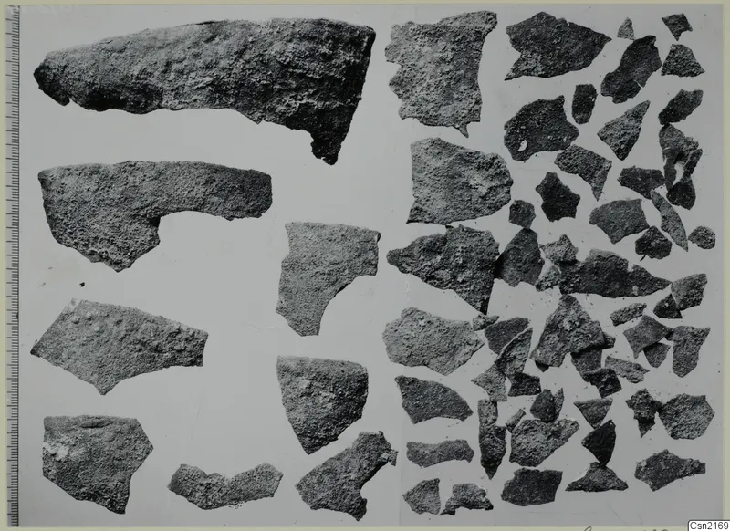 Pottery sherds laid out on a pale background, with a measuring scale along the left edge