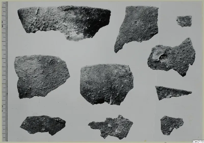 Group of pottery sherds laid out on a pale card, with a measuring scale along the left edge.