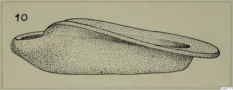 Pen and stipple drawing of a metal lamp in side view, with a long nozzle extending to the right.