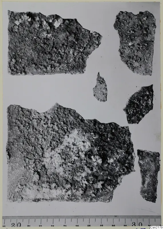 Corroded metal fragments from Marion, shown with a measuring scale along the bottom edge.