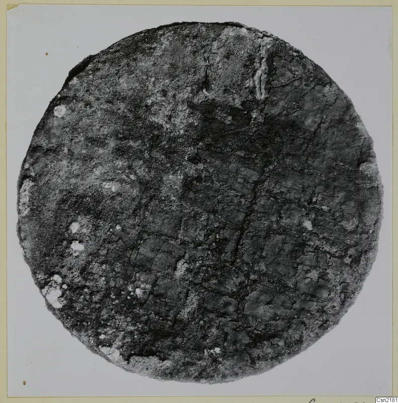 Circular corroded metal fragment with a faint grid-like pattern on its surface, photographed face-on