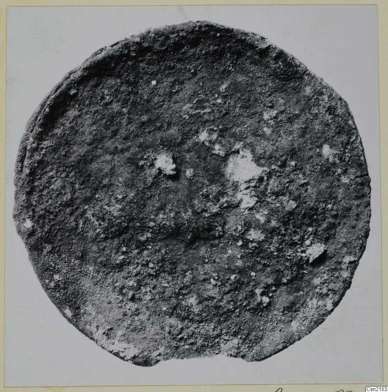 Corroded metal disc fragment, seen from above against a plain light background