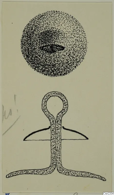 Pen drawing of metal objects: a stippled disc with a dark slit, and a looped piece with a curved bar and two long arms below.