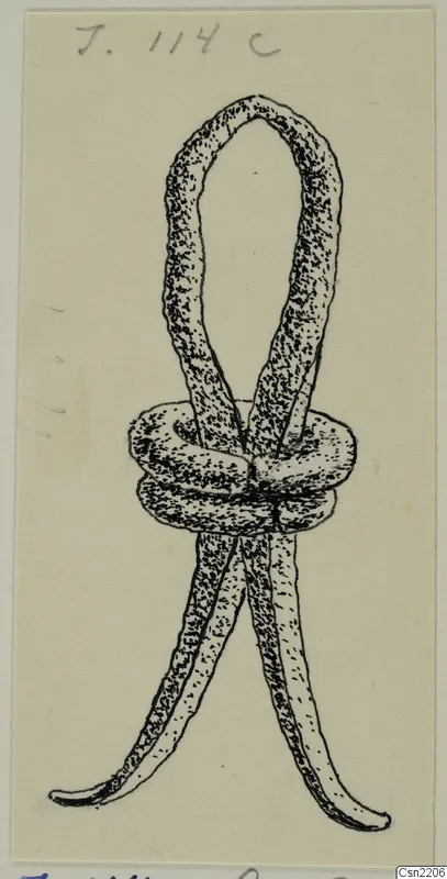 Ink drawing of a bronze object with an upper loop, a coiled middle and two long tapering ends