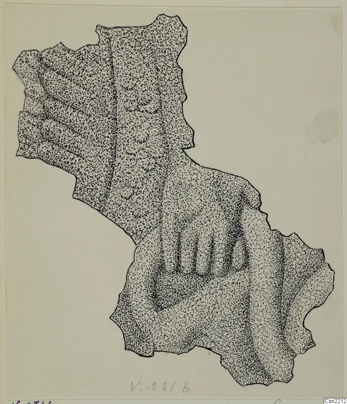 Stippled ink drawing of an irregular bronze fragment with raised ridges, Vouni metalwork