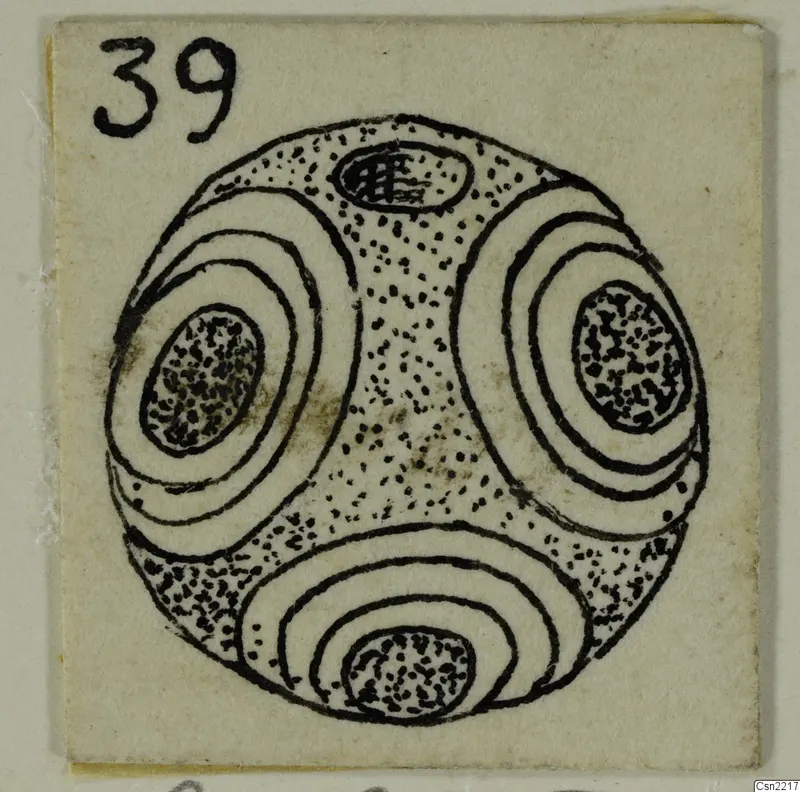 Ink drawing of a round bead with four oval panels of concentric rings around stippled centres