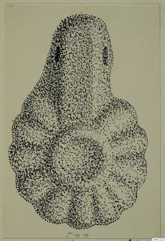 Stippled drawing of a pendant, narrow at the top with two dark marks near the top, broad and lobed below.
