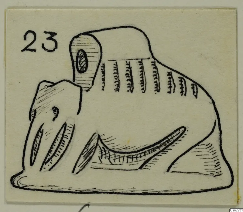 Pen drawing of a small animal figure in profile with long tusk-like projections, with a number label