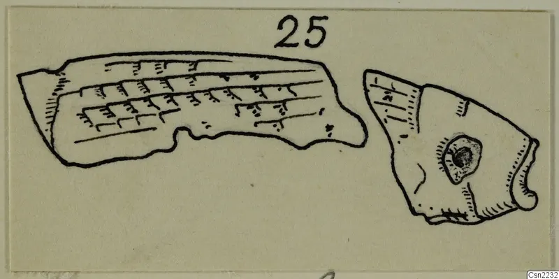 Ink drawing of two fragmentary objects, one with incised lines and one with a small pierced boss, on a card.